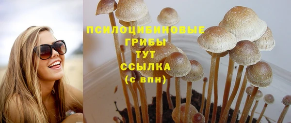 гидра Вяземский