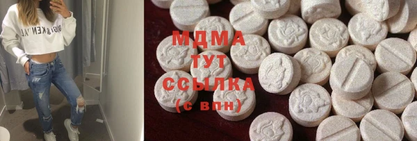 гидра Вяземский