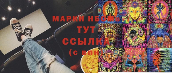 гидра Вяземский