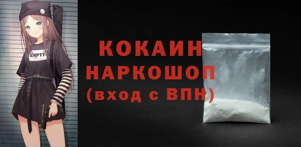 гидра Вяземский