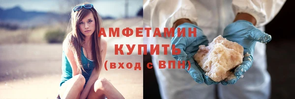гидра Вяземский