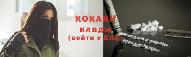гидра Вяземский