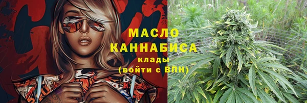 гидра Вяземский