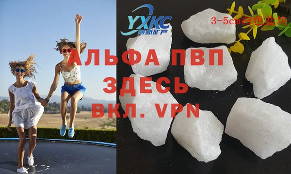 гидра Вяземский