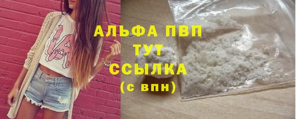 гидра Вяземский