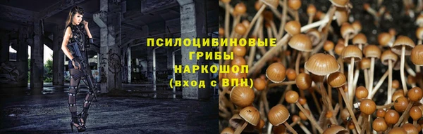 гидра Вяземский